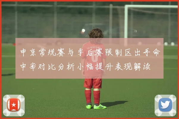 申京常规赛与季后赛限制区出手命中率对比分析小幅提升表现解读