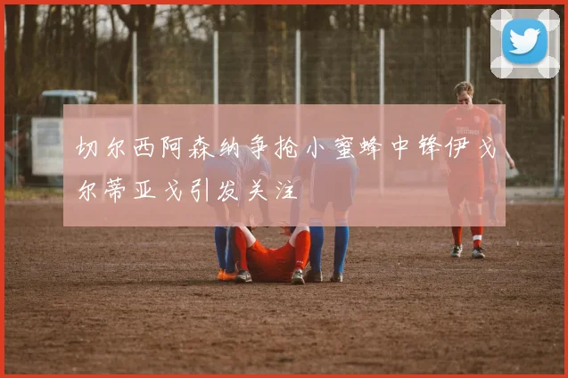 切尔西阿森纳争抢小蜜蜂中锋伊戈尔蒂亚戈引发关注